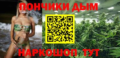 СК Обь