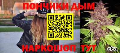СК Обь