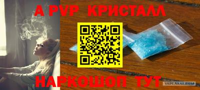 СК Обь