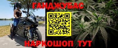 СК Обь