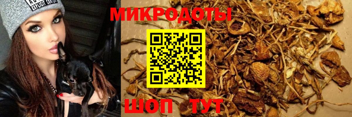 Псилоцибиновые грибы Cubensis Самара