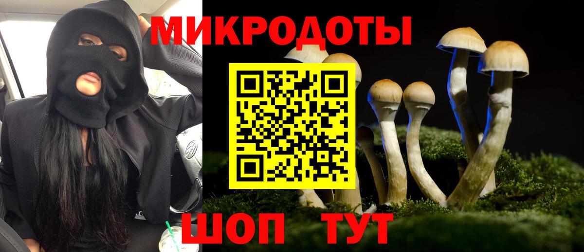 Самара  Галлюциногенные грибы мицелий  Галлюциногенные грибы прущие грибы  Вход с VPN 
